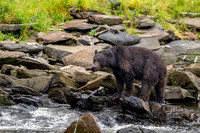 2022-Neets Bay Alaska (29 of 104)-Edit