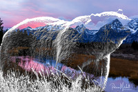 Spirit of the Tetons