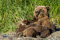 Snuggle Time-1