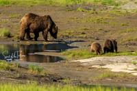Mama and 3 bears-1