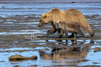 In Step-