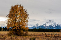 Autumn at Pilgrim Creek (1 of 1)