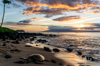 Turtle Sunset (1 of 1)