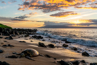 Turtle Sunset (1 of 1)