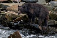 2022-Neets Bay Alaska (30 of 104)-Enhanced-NR